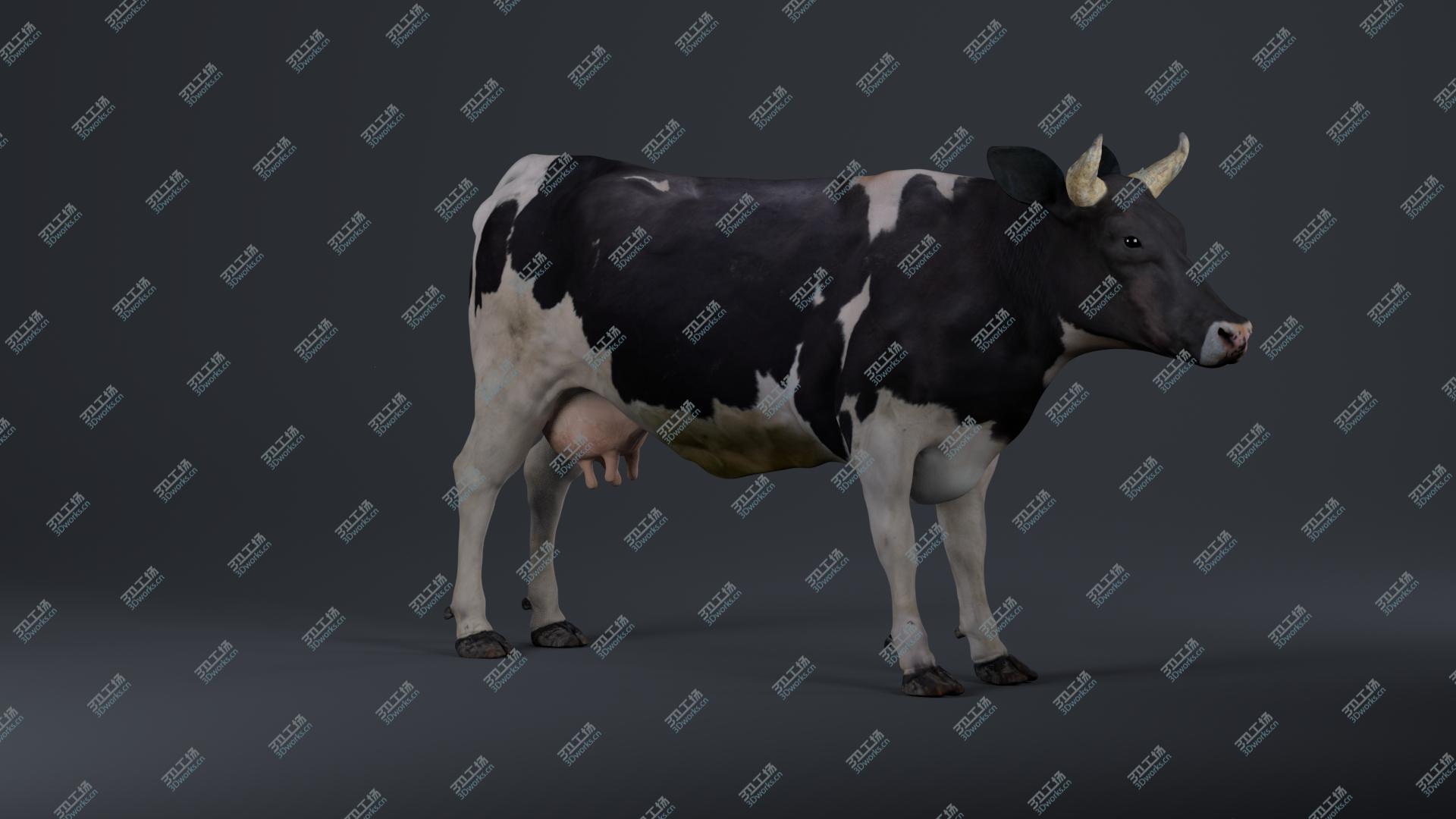 images/goods_img/202104093/Holstein Cow 3D model/4.jpg